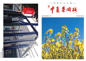 连云港中复连众复合材料集团2018第三期产品与服务概览